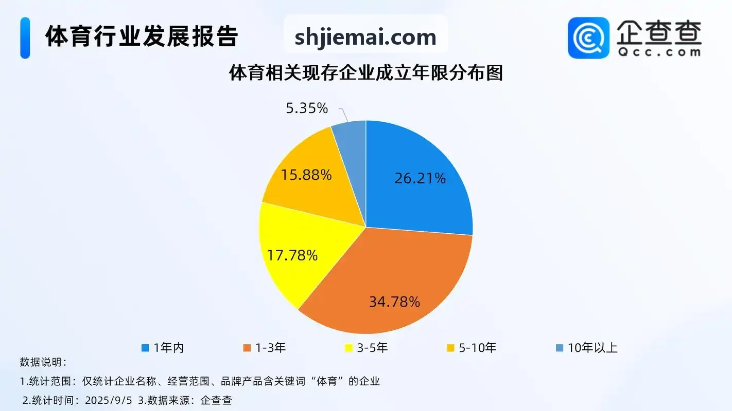 贵宾厅监控大屏背景